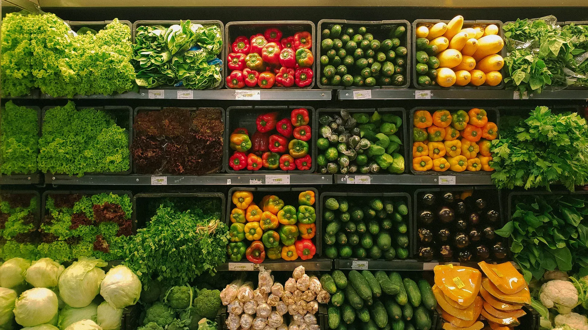 Nutrición Vegetal Avanzada
